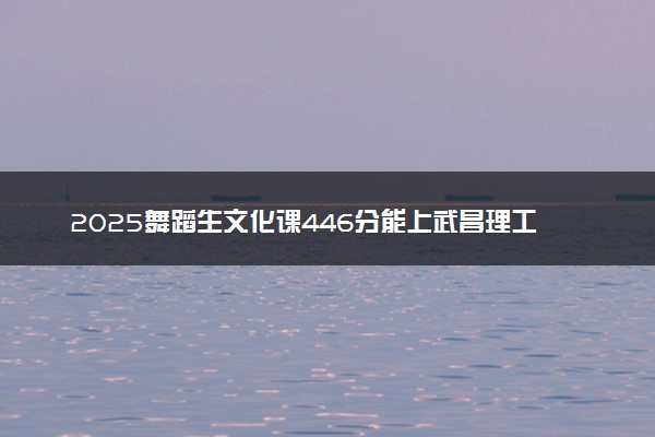 2025舞蹈生文化课446分能上武昌理工学院吗