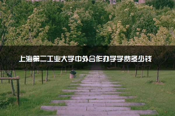 上海第二工业大学中外合作办学学费多少钱 各专业收费标准