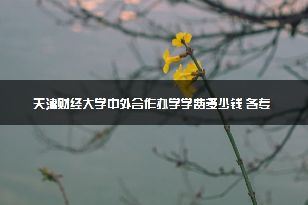 天津财经大学中外合作办学学费多少钱 各专业收费标准