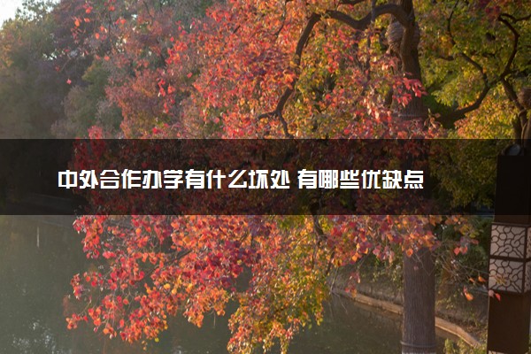 中外合作办学有什么坏处 有哪些优缺点