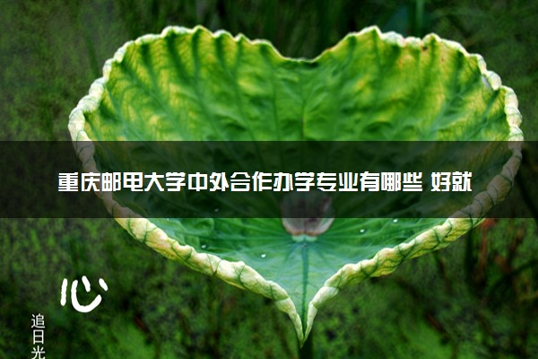 重庆邮电大学中外合作办学专业有哪些 好就业吗