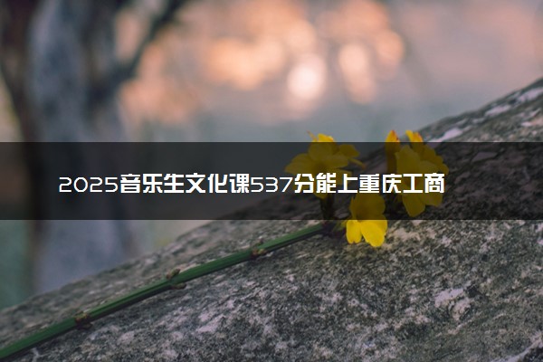 2025音乐生文化课537分能上重庆工商大学吗