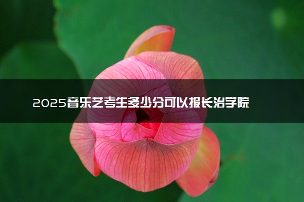 2025音乐艺考生多少分可以报长治学院