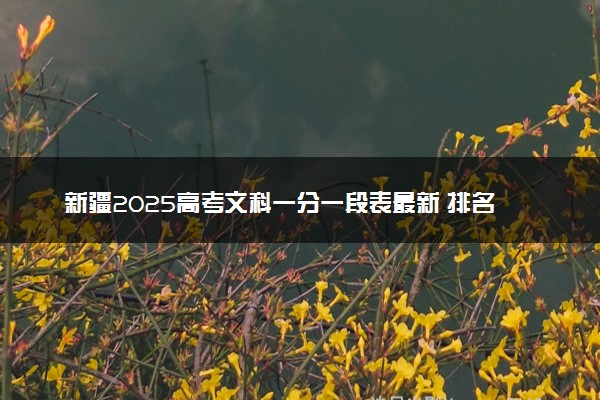 新疆2025高考文科一分一段表最新 排名位次对照