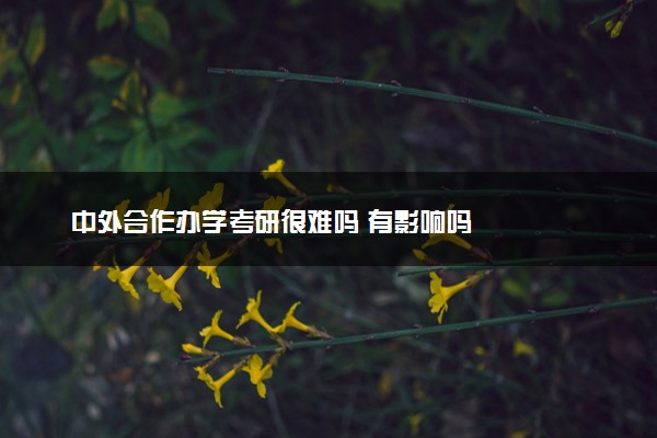 中外合作办学考研很难吗 有影响吗