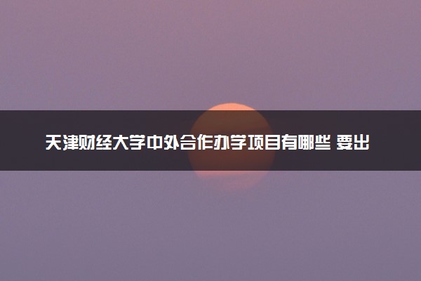 天津财经大学中外合作办学项目有哪些 要出国吗