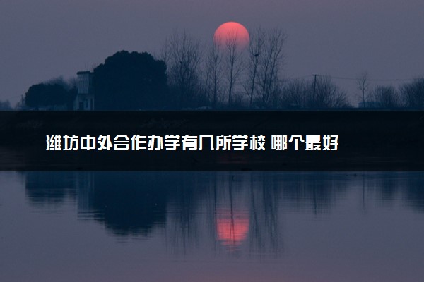 潍坊中外合作办学有几所学校 哪个最好