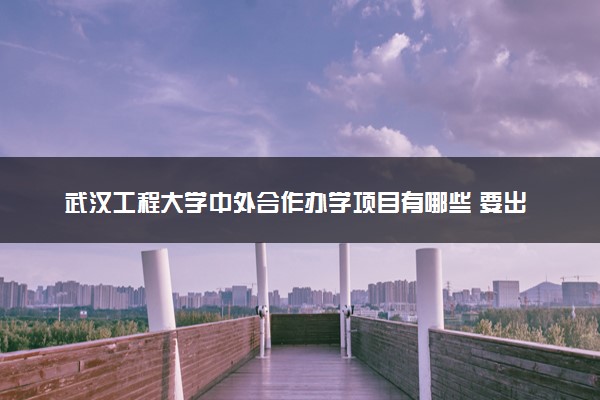 武汉工程大学中外合作办学项目有哪些 要出国吗