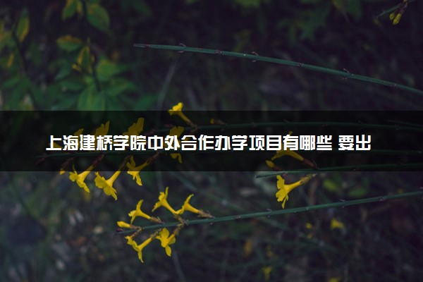 上海建桥学院中外合作办学项目有哪些 要出国吗