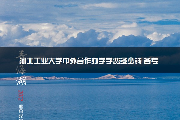 河北工业大学中外合作办学学费多少钱 各专业收费标准