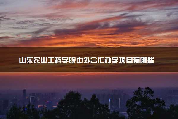 山东农业工程学院中外合作办学项目有哪些 要出国吗