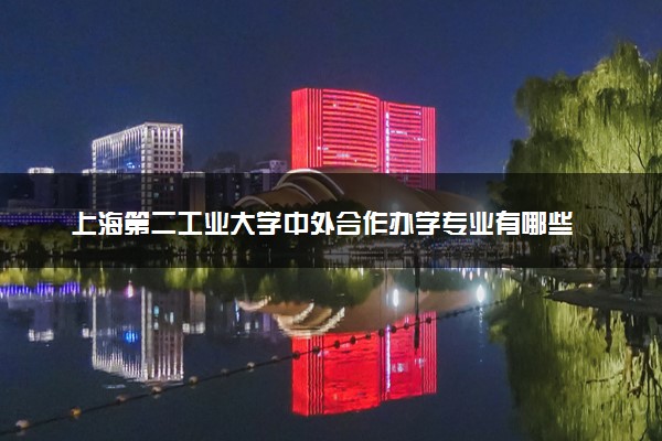 上海第二工业大学中外合作办学专业有哪些 好就业吗