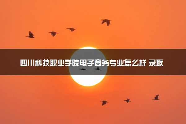 四川科技职业学院电子商务专业怎么样 录取分数线多少