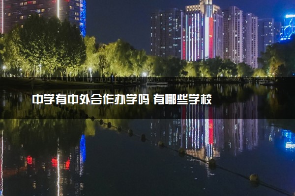 中学有中外合作办学吗 有哪些学校
