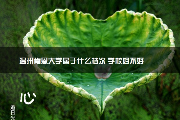 温州肯恩大学属于什么档次 学校好不好