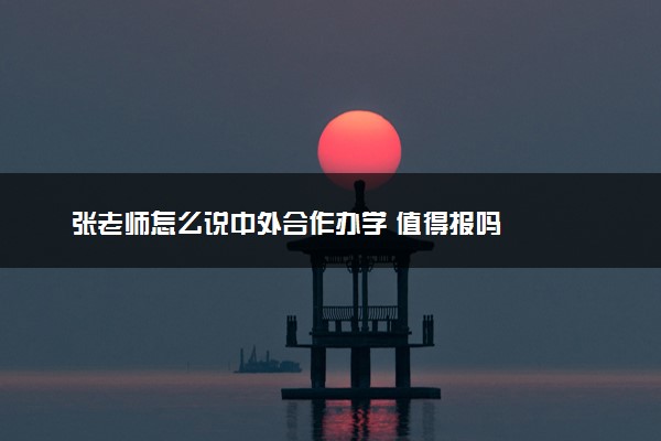 张老师怎么说中外合作办学 值得报吗