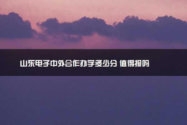 山东电子中外合作办学多少分 值得报吗