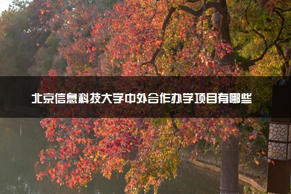 北京信息科技大学中外合作办学项目有哪些 要出国吗