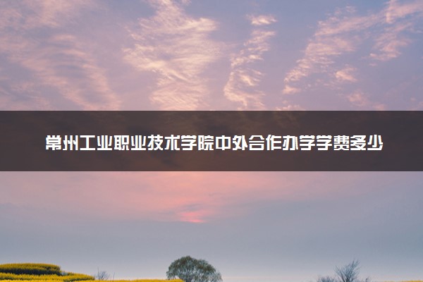 常州工业职业技术学院中外合作办学学费多少钱 各专业收费标准