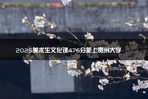 2025美术生文化课476分能上贵州大学吗