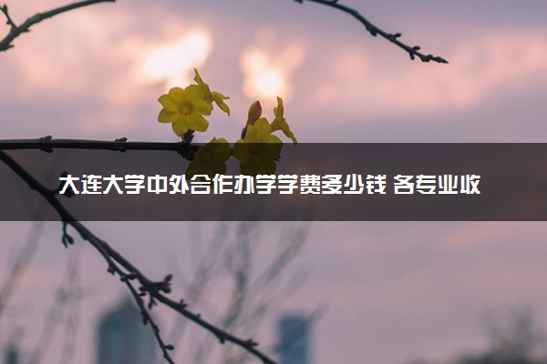 大连大学中外合作办学学费多少钱 各专业收费标准