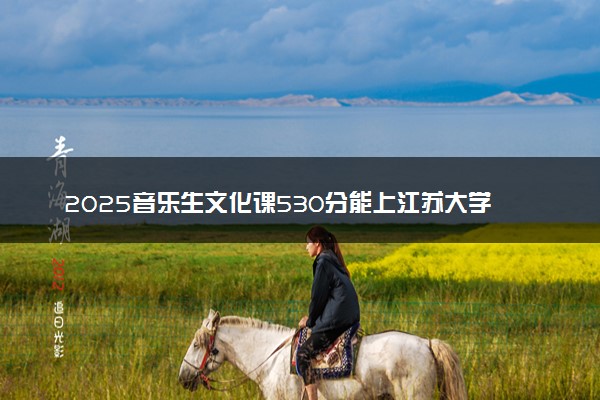 2025音乐生文化课530分能上江苏大学吗