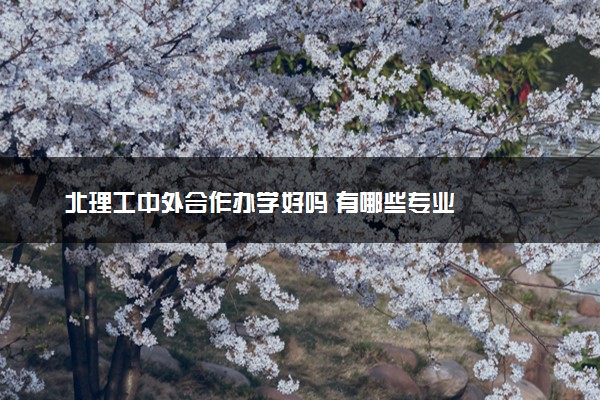 北理工中外合作办学好吗 有哪些专业