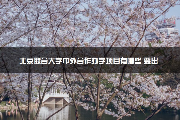 北京联合大学中外合作办学项目有哪些 要出国吗