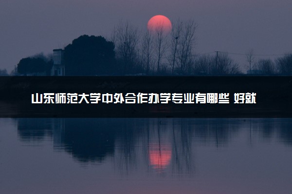 山东师范大学中外合作办学专业有哪些 好就业吗