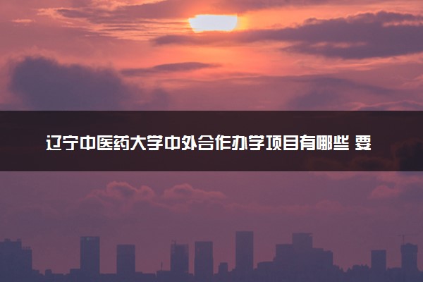 辽宁中医药大学中外合作办学项目有哪些 要出国吗