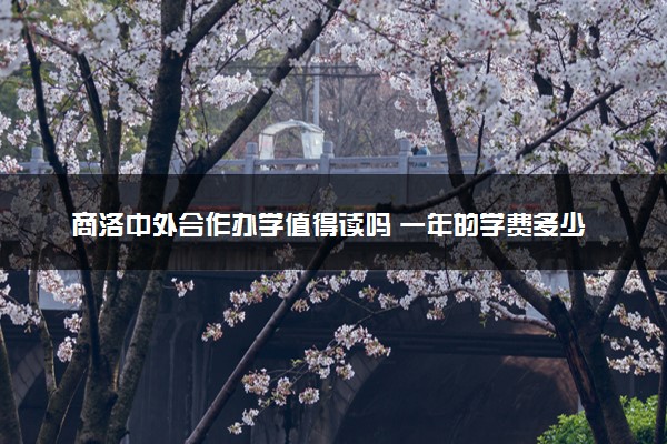 商洛中外合作办学值得读吗 一年的学费多少
