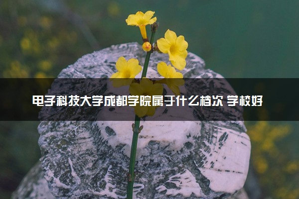 电子科技大学成都学院属于什么档次 学校好不好