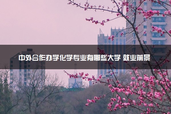 中外合作办学化学专业有哪些大学 就业前景怎么样