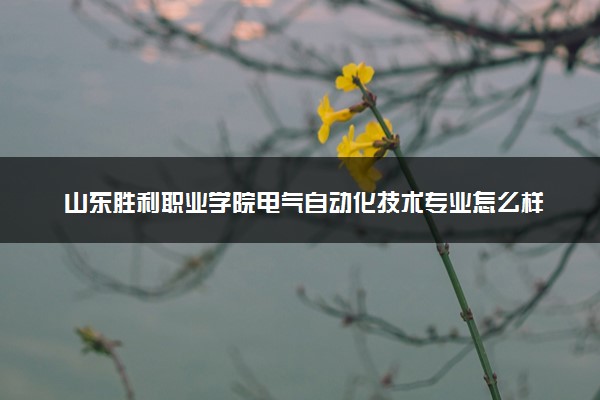 山东胜利职业学院电气自动化技术专业怎么样 录取分数线多少