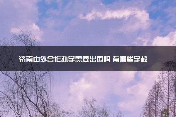 济南中外合作办学需要出国吗 有哪些学校