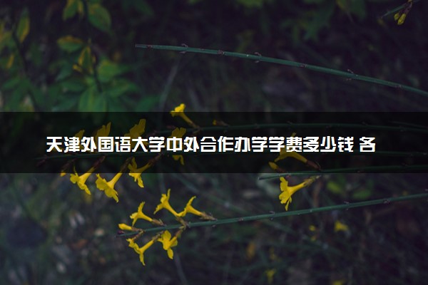 天津外国语大学中外合作办学学费多少钱 各专业收费标准