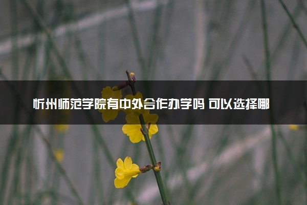 忻州师范学院有中外合作办学吗 可以选择哪些专业