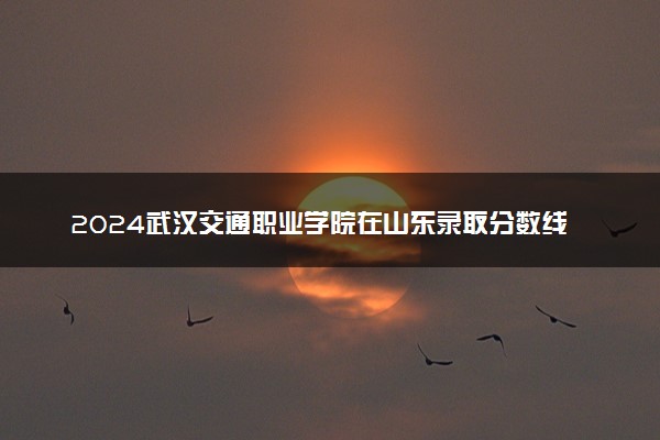 2024武汉交通职业学院在山东录取分数线 各专业分数及位次