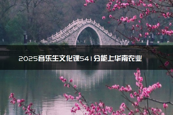 2025音乐生文化课541分能上华南农业大学吗