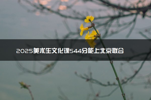 2025美术生文化课544分能上北京联合大学吗