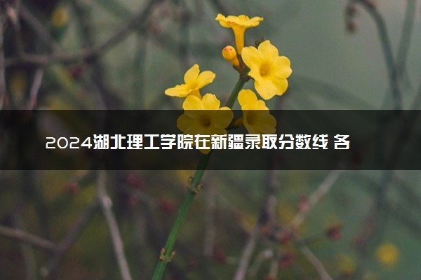 2024湖北理工学院在新疆录取分数线 各专业分数及位次