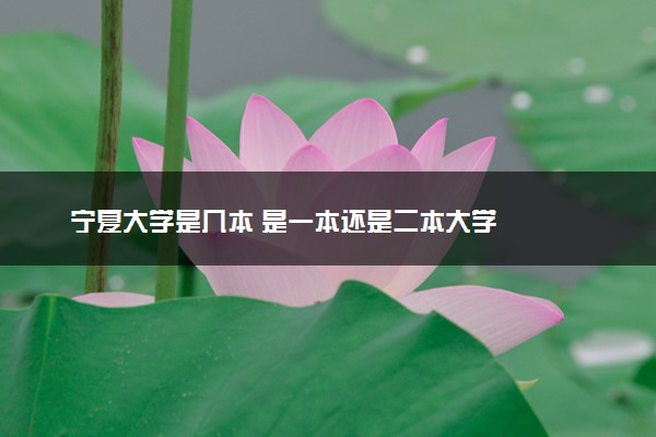 宁夏大学是几本 是一本还是二本大学
