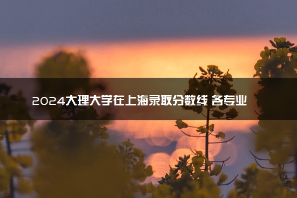 2024大理大学在上海录取分数线 各专业分数及位次