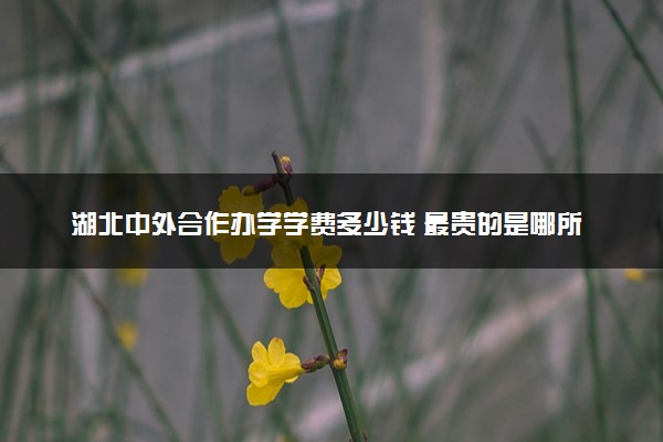 湖北中外合作办学学费多少钱 最贵的是哪所