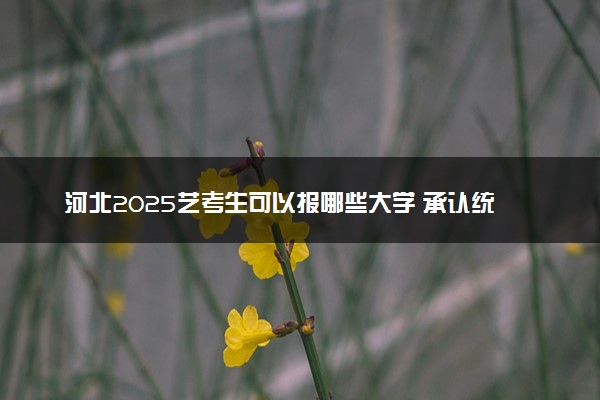 河北2025艺考生可以报哪些大学 承认统考/联考成绩的院校