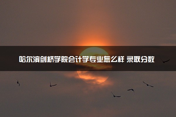 哈尔滨剑桥学院会计学专业怎么样 录取分数线多少