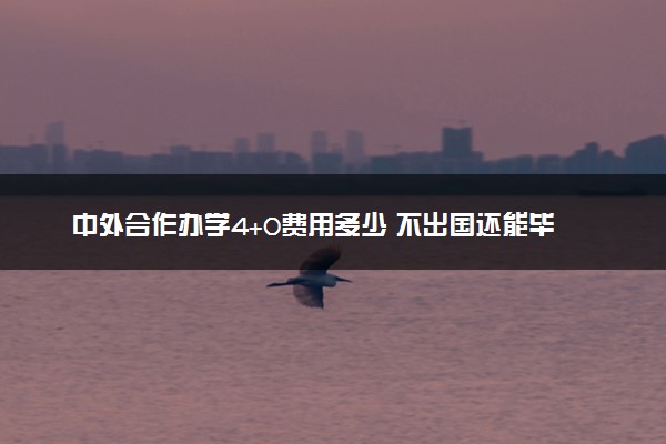 中外合作办学4+0费用多少 不出国还能毕业吗