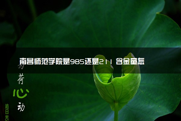 南昌师范学院是985还是211 含金量怎么样