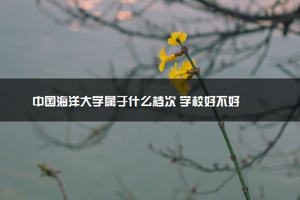 中国海洋大学属于什么档次 学校好不好