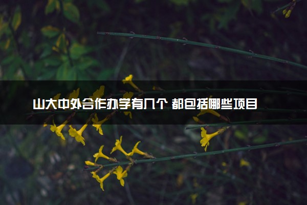 山大中外合作办学有几个 都包括哪些项目